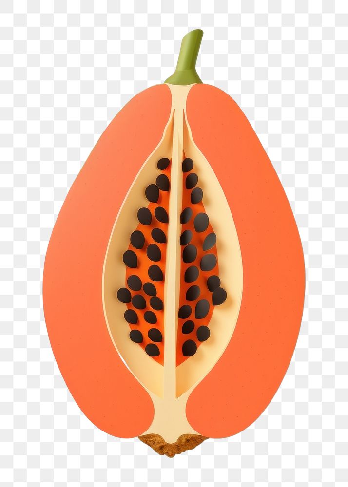 PNG Fruit papaya plant food. 