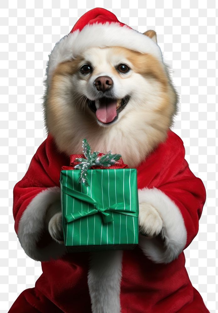 PNG Dog christmas portrait mammal transparent background