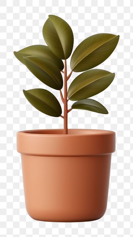 PNG Plant houseplant leaf pot. 