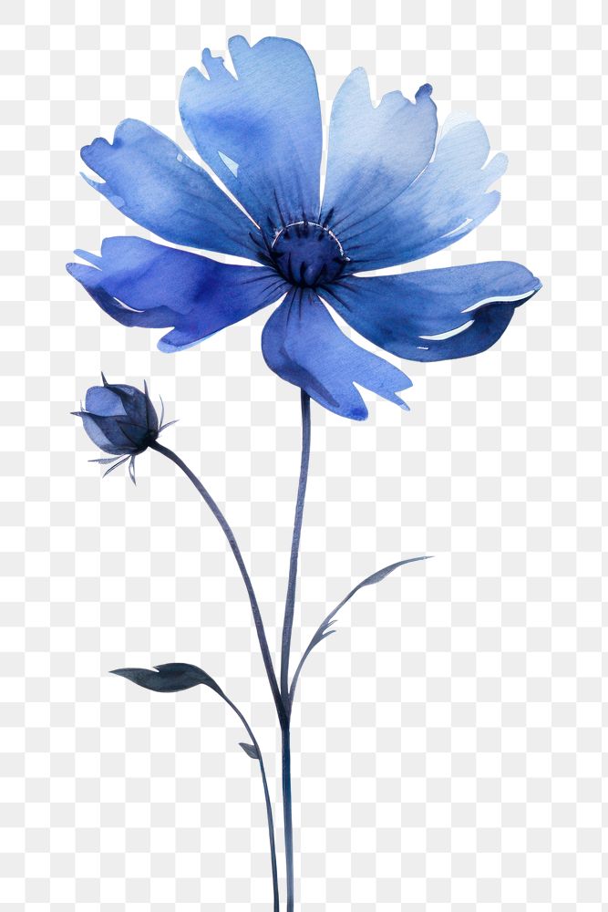 PNG Flower petal plant blue. AI generated Image by rawpixel.