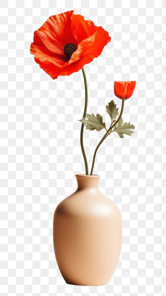 PNG Poppy vase ceramic flower. AI generated Image by rawpixel.