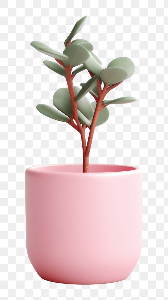 PNG Plant vase leaf pot. AI generated Image by rawpixel.