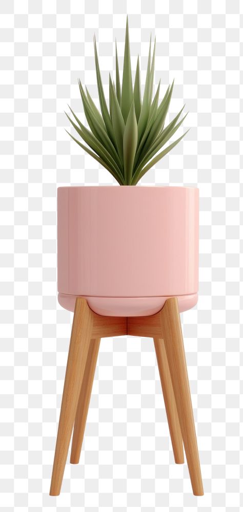 PNG Plant vase potted plant houseplant. AI generated Image by rawpixel.