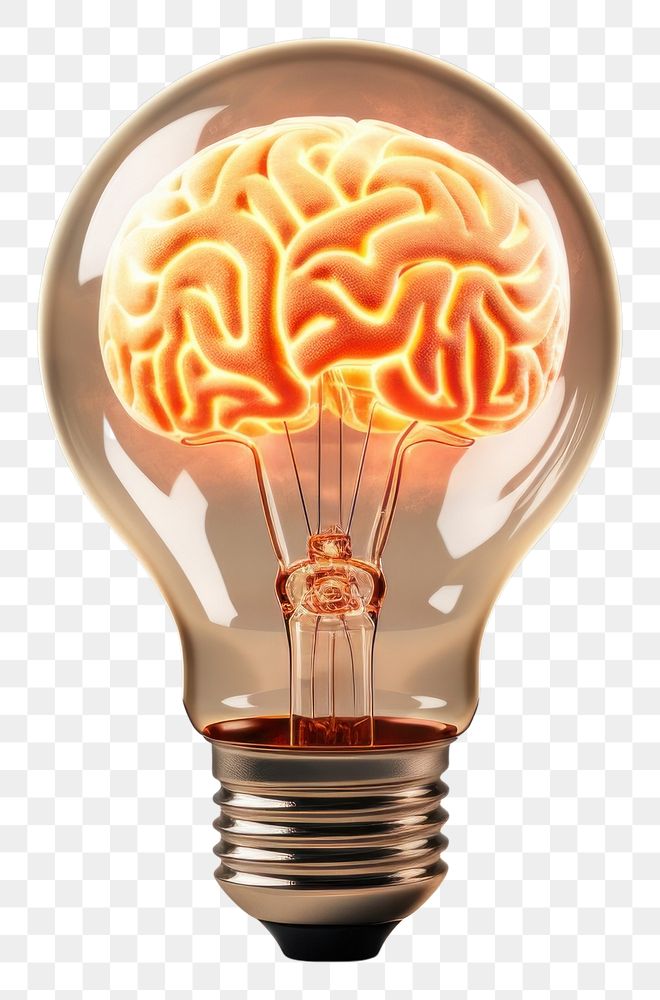 PNG Light lightbulb brain electricity. AI generated Image by rawpixel.