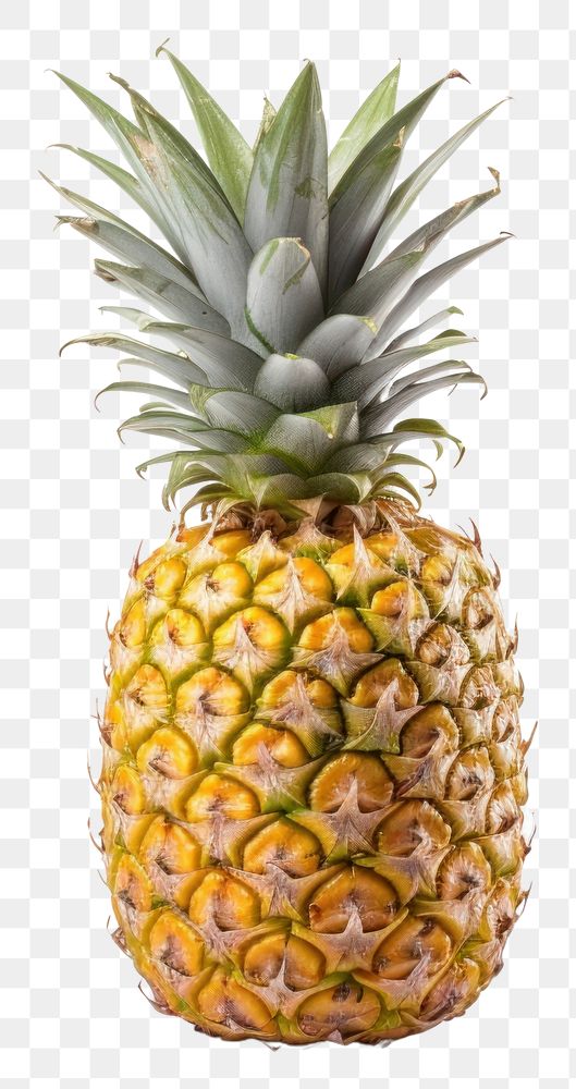 PNG Pineapple fruit plant food. 