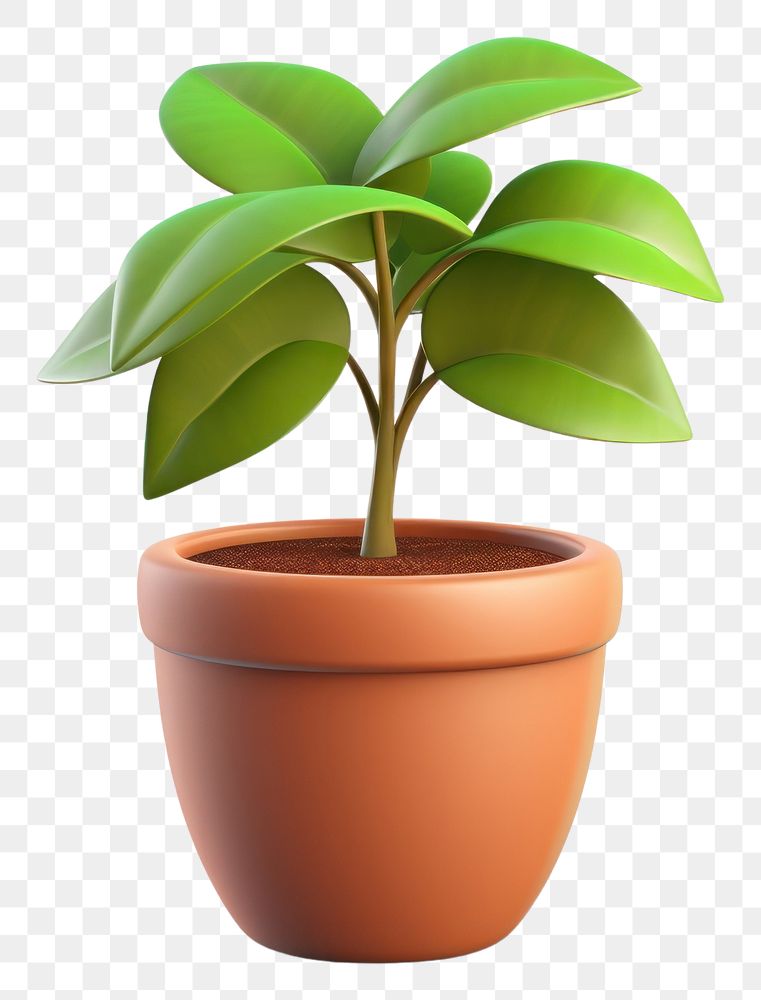 PNG Plant leaf pot  