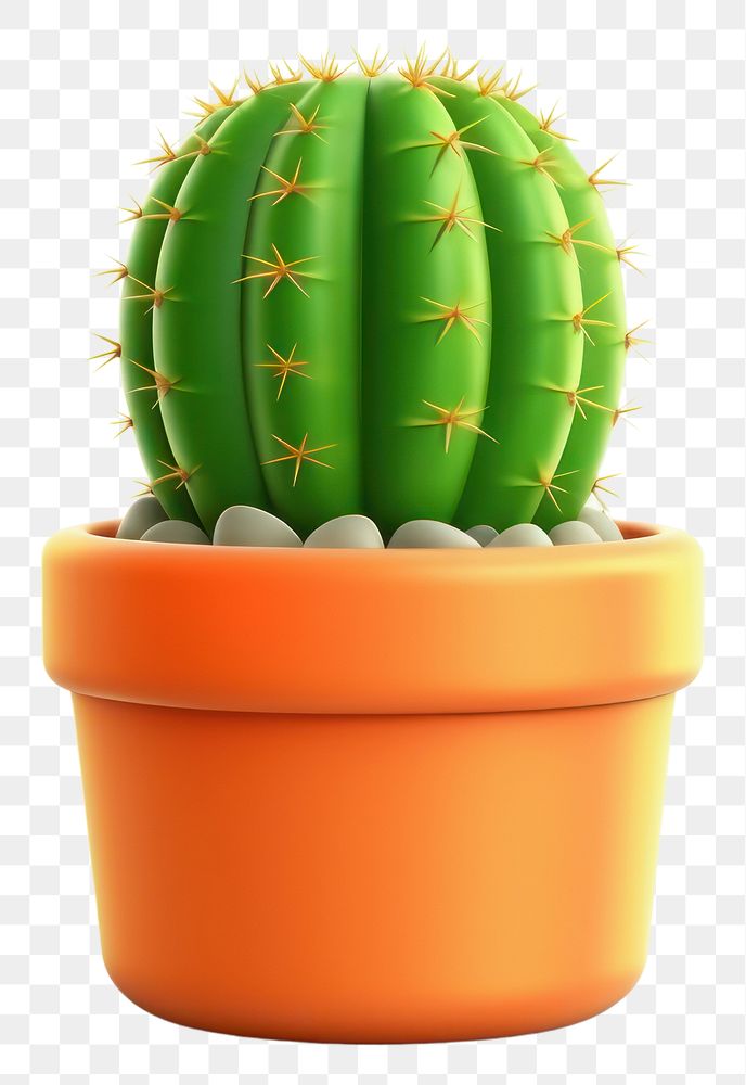 PNG Cactus plant transparent background houseplant. 