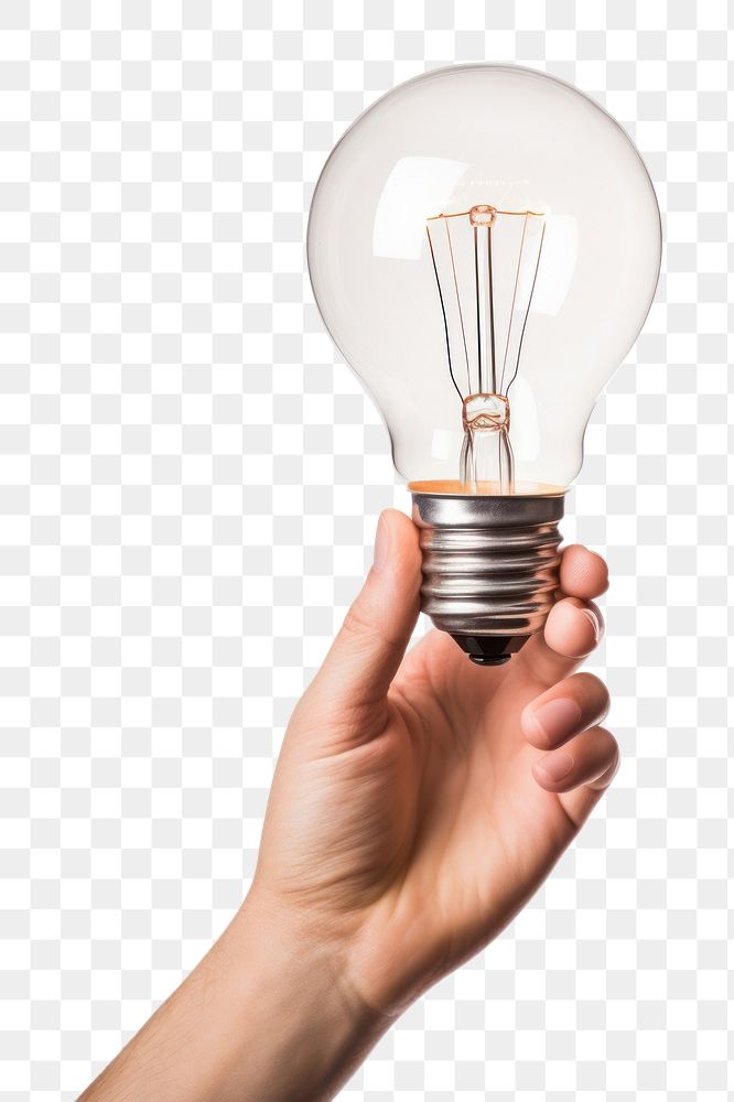 PNG Light lightbulb holding hand. AI generated Image by rawpixel.