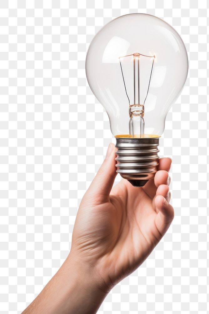 PNG Light lightbulb holding hand