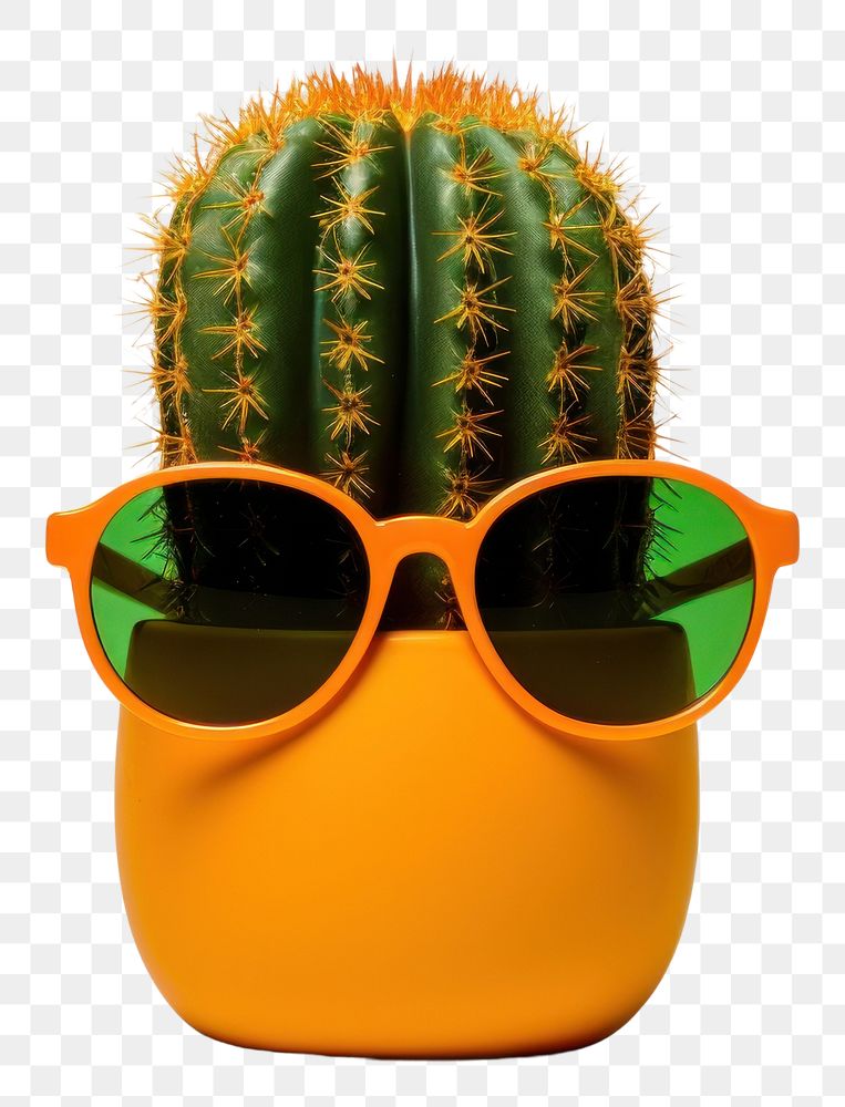 PNG Sunglasses cactus plant flowerpot. AI generated Image by rawpixel.