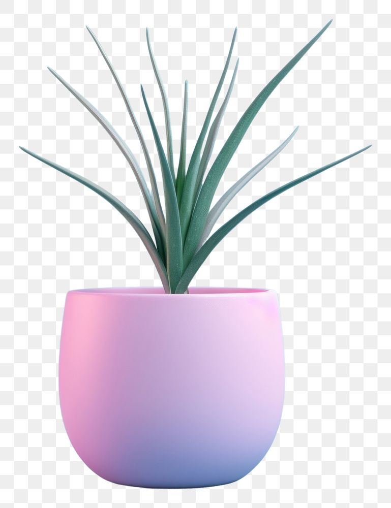 PNG  Plant vase decoration houseplant. AI generated Image by rawpixel.