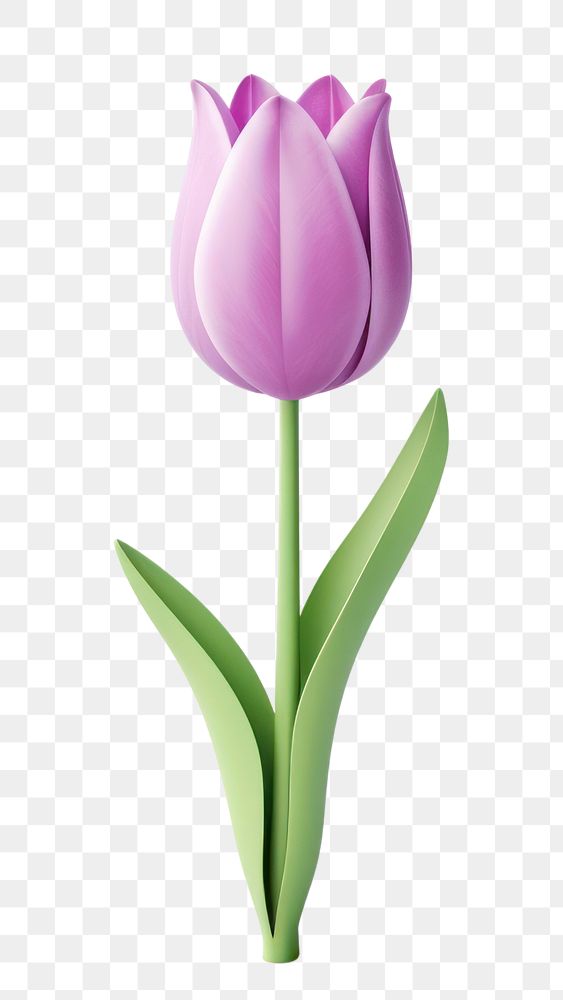 PNG Blossom flower tulip plant. AI generated Image by rawpixel.