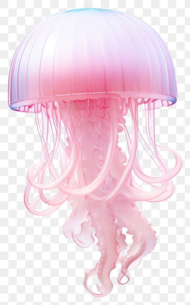 PNG Jellyfish transparent background invertebrate translucent. 