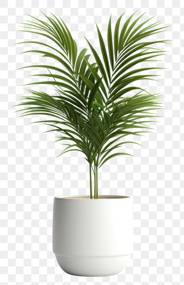 PNG Plant leaf tree vase. AI generated Image by rawpixel.