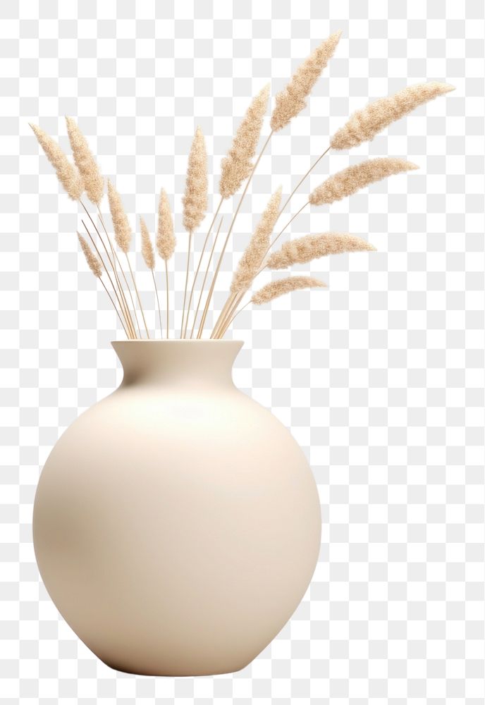 PNG Vase ceramic plant decoration