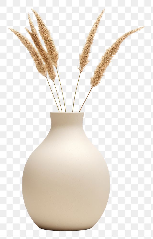 PNG Vase ceramic plant white background. AI generated Image by rawpixel.
