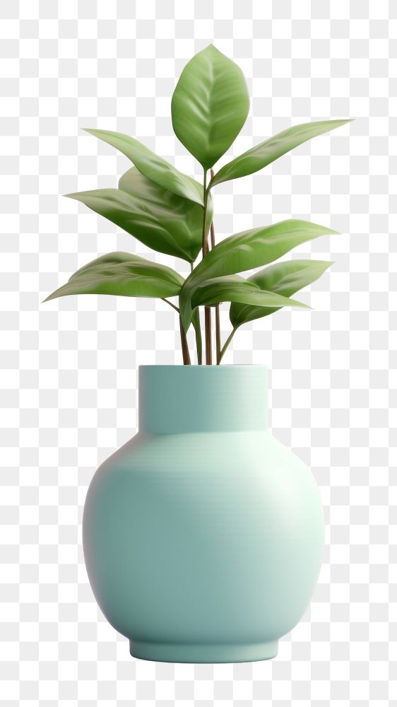 PNG Plant vase flower leaf. AI generated Image by rawpixel.