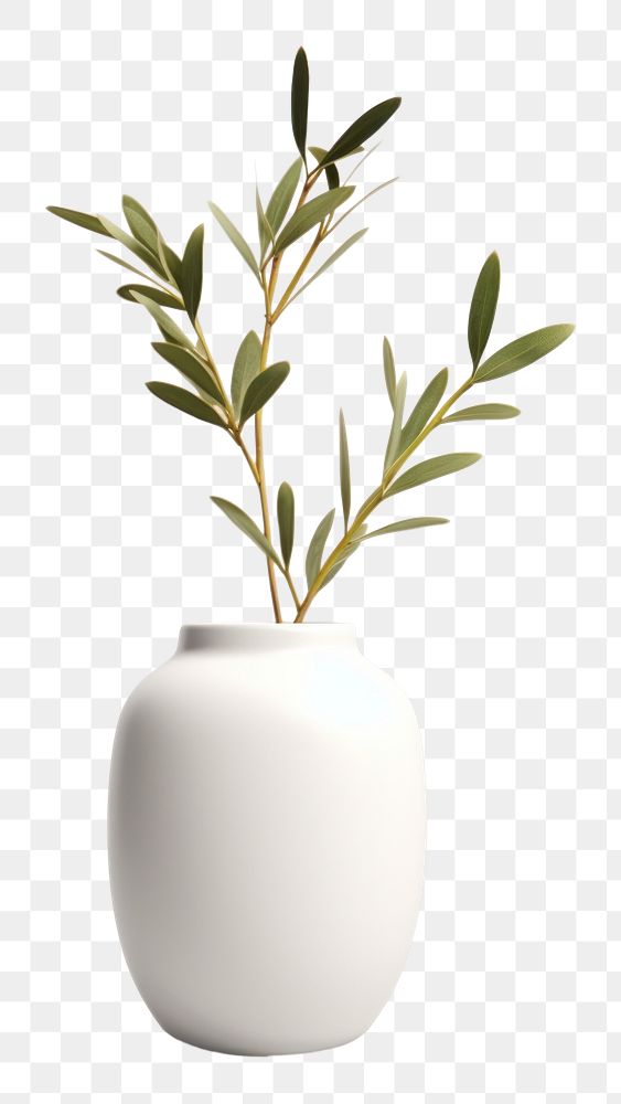 PNG Porcelain branch plant white. AI generated Image by rawpixel.