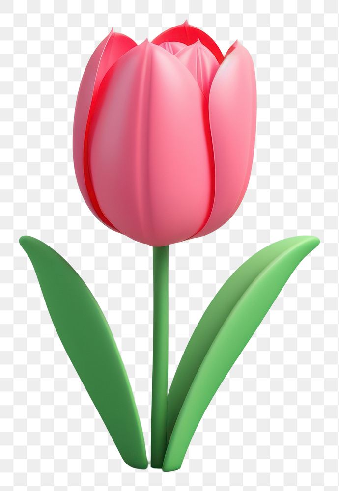 PNG Flower tulip blossom plant. AI generated Image by rawpixel.