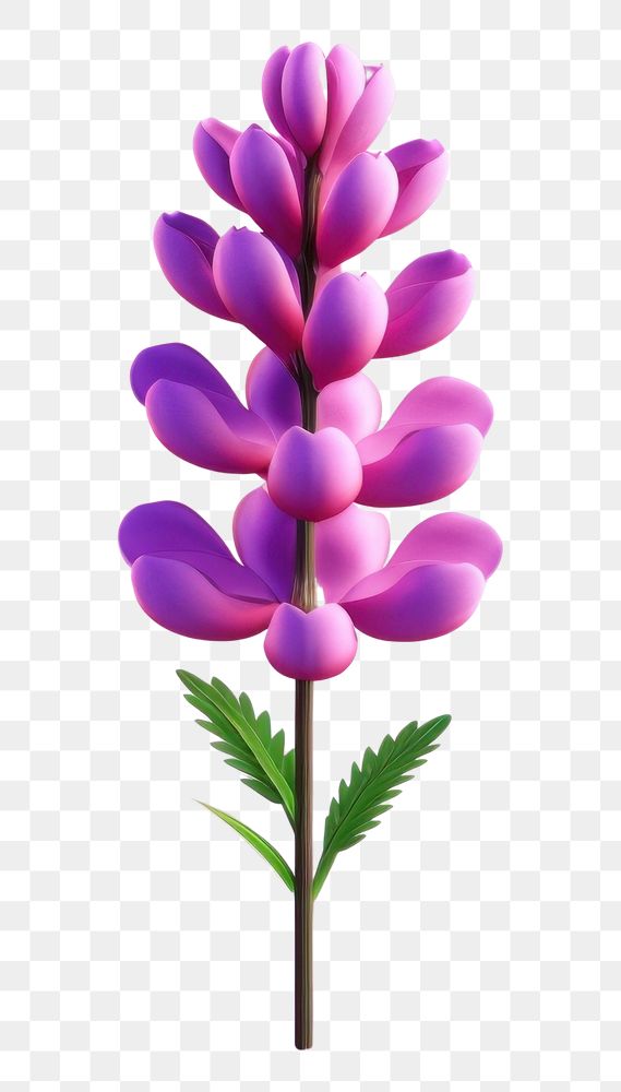 PNG Blossom flower purple petal. 