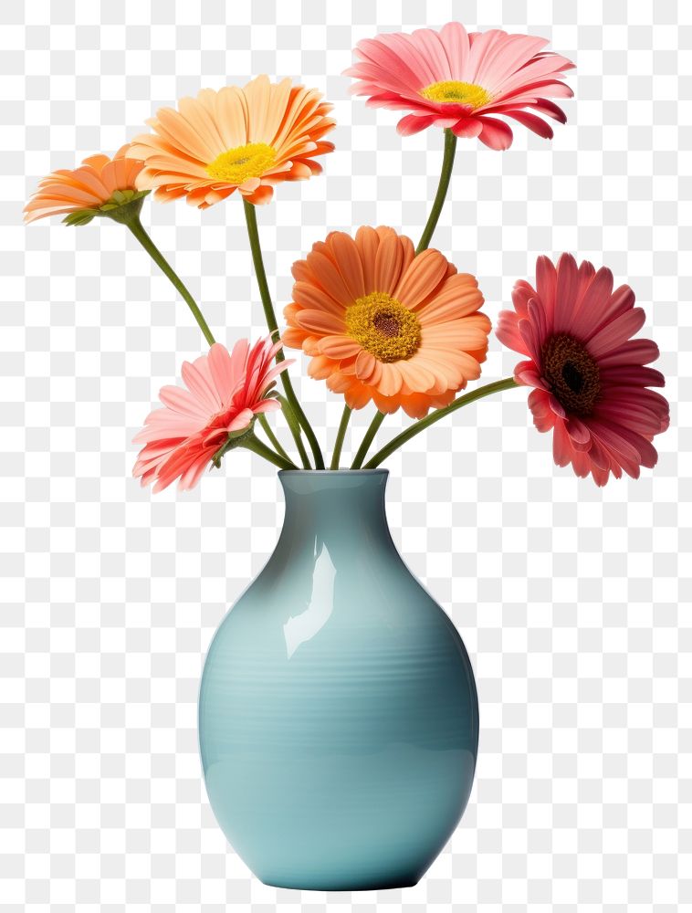 PNG Flower vase daisy plant. AI generated Image by rawpixel.