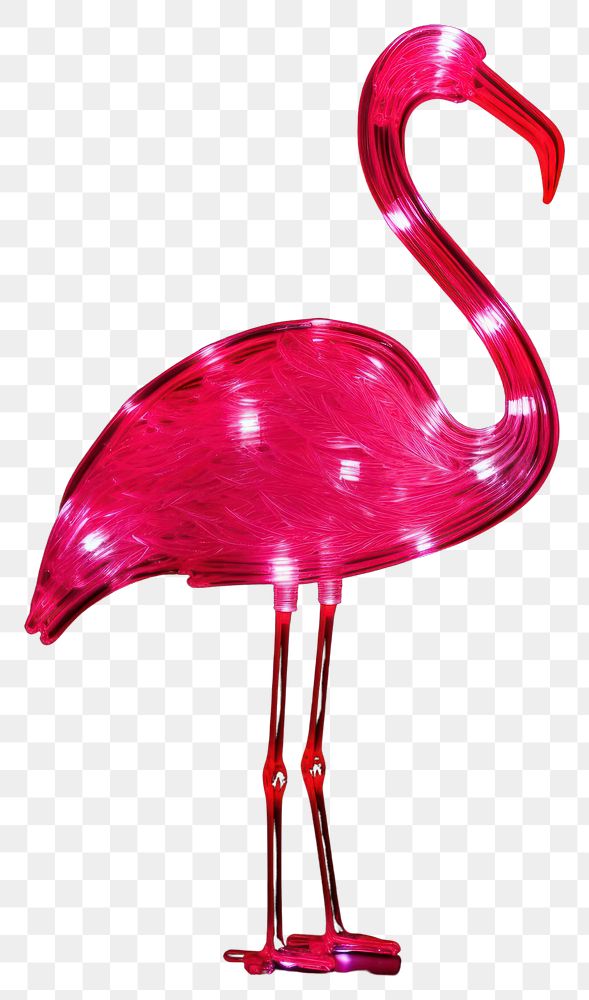 PNG Flamingo animal light bird. AI generated Image by rawpixel.