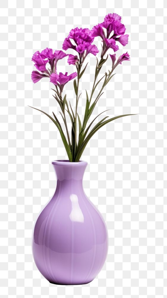 PNG Flower plant vase jar. AI generated Image by rawpixel.
