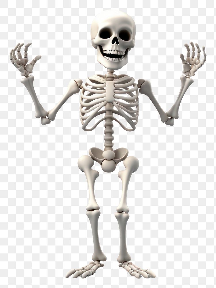 PNG Skeleton cartoon white background representation. AI generated Image by rawpixel.