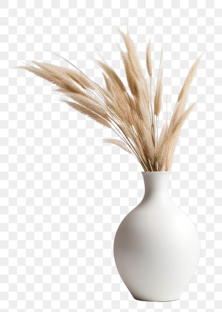 PNG Vase ceramic plant white