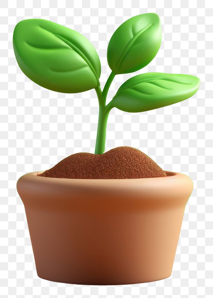 PNG Sprout green plant leaf