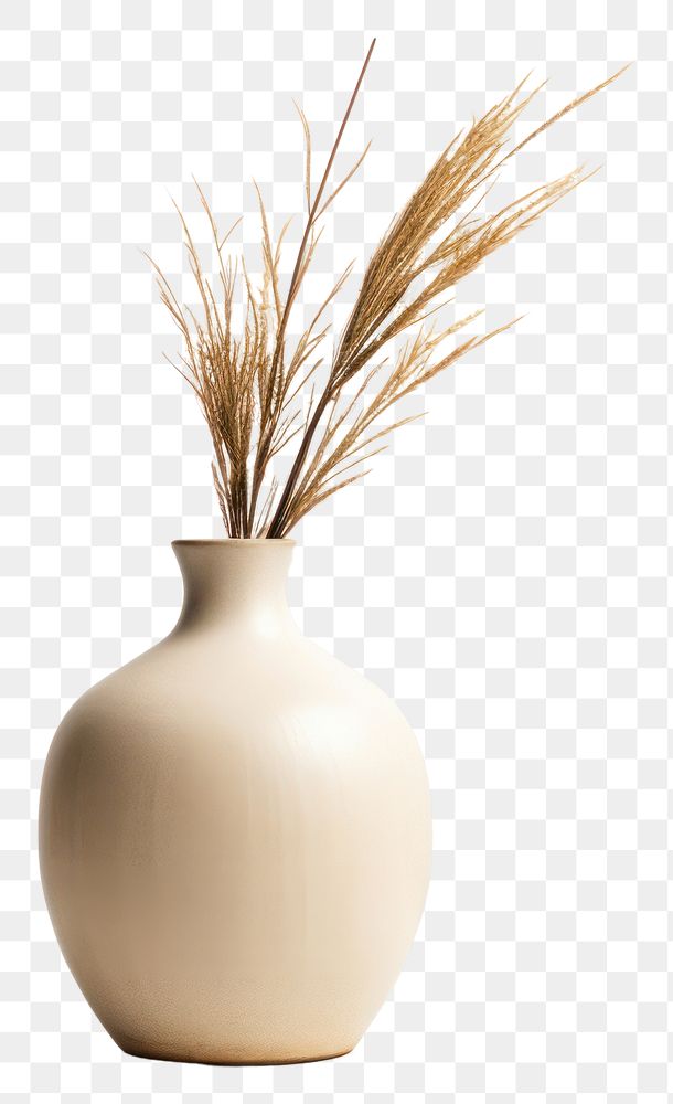 PNG Vase plant decoration simplicity. 