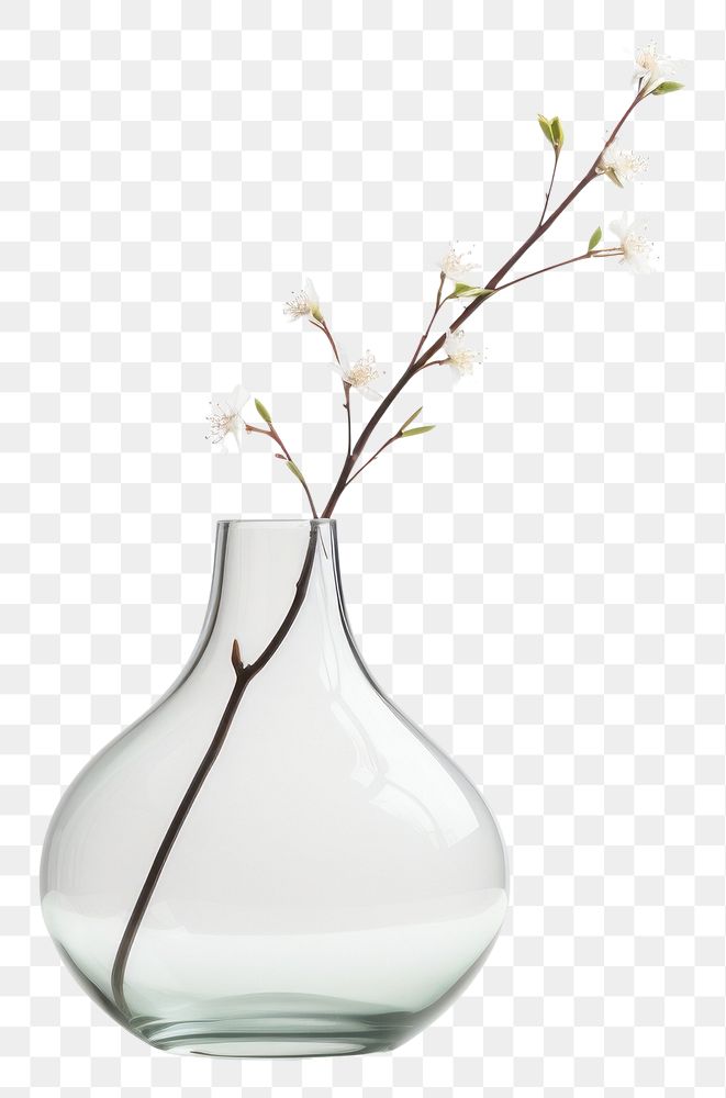 PNG Vase glass transparent background transparent. AI generated Image by rawpixel.