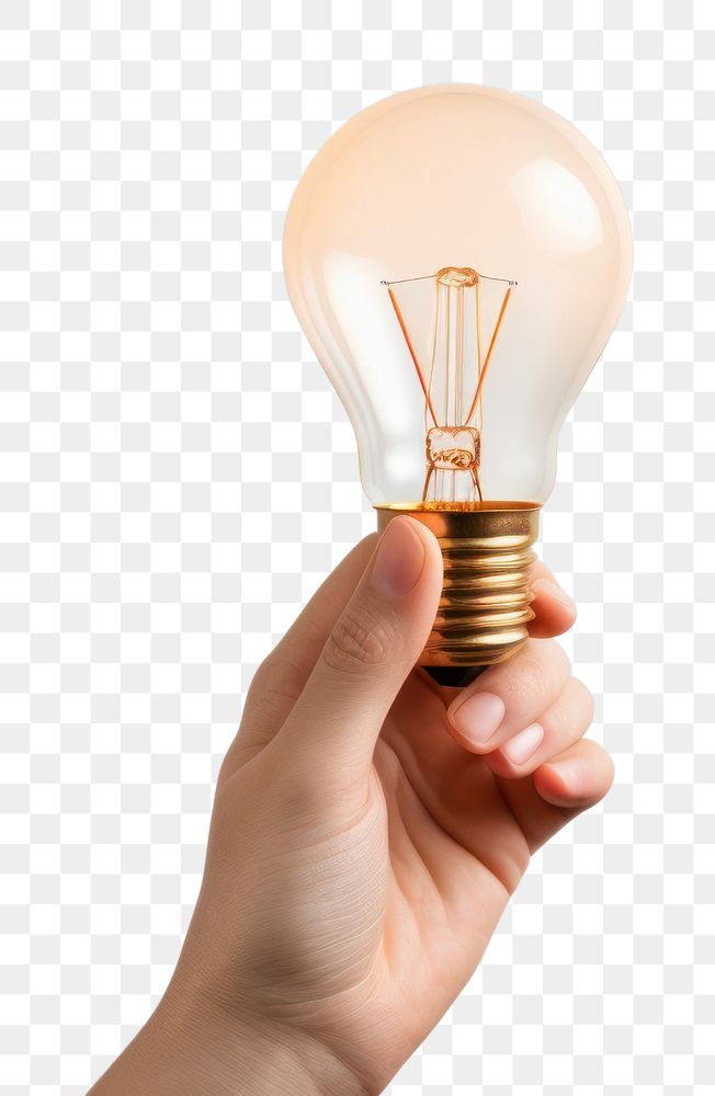 PNG Light lightbulb holding hand. AI generated Image by rawpixel.