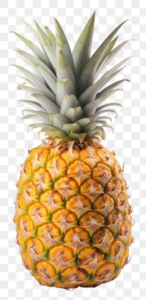 PNG Pineapple fruit plant food. AI generated Image by rawpixel.