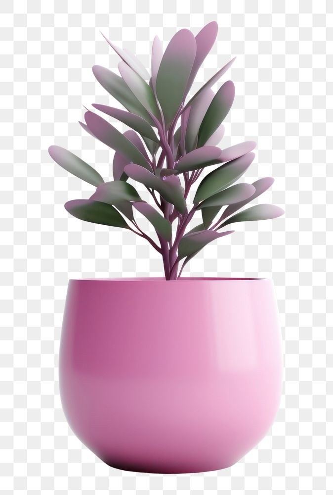PNG Potted plant flower vase leaf. AI generated Image by rawpixel.