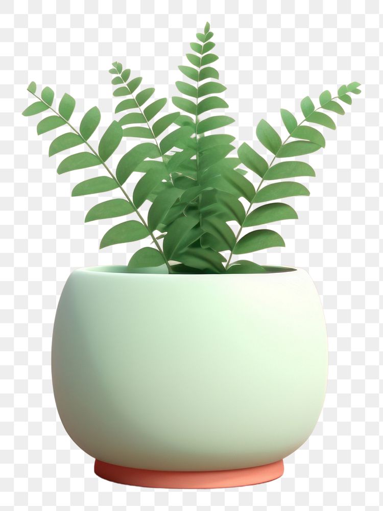 PNG Plant vase leaf fern. 