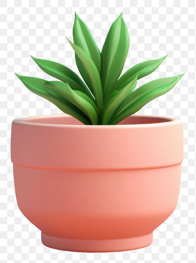 PNG Plant leaf pot houseplant. AI generated Image by rawpixel.