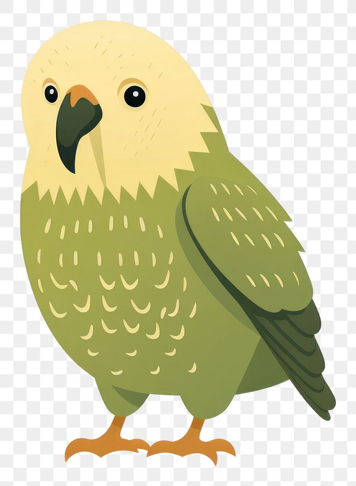 PNG Bird animal parrot beak. AI generated Image by rawpixel.