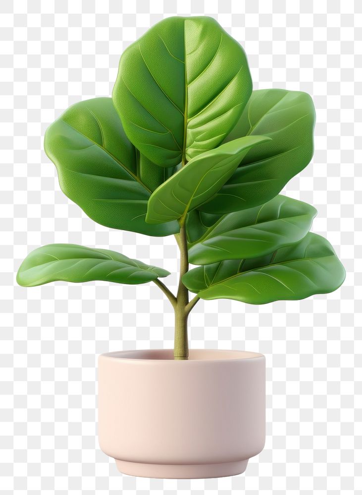 PNG Leaf plant tree vase. AI generated Image by rawpixel.