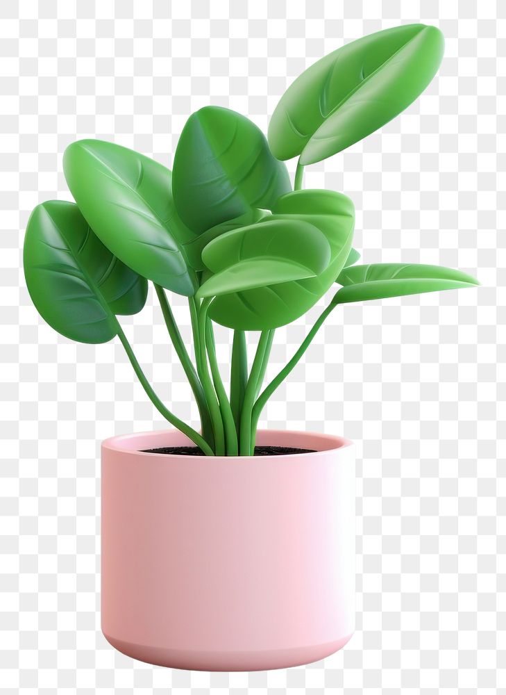 PNG Plant houseplant flower leaf. AI generated Image by rawpixel.