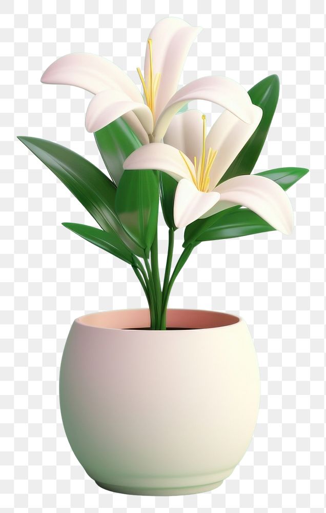 PNG Lily flower plant vase. AI generated Image by rawpixel.