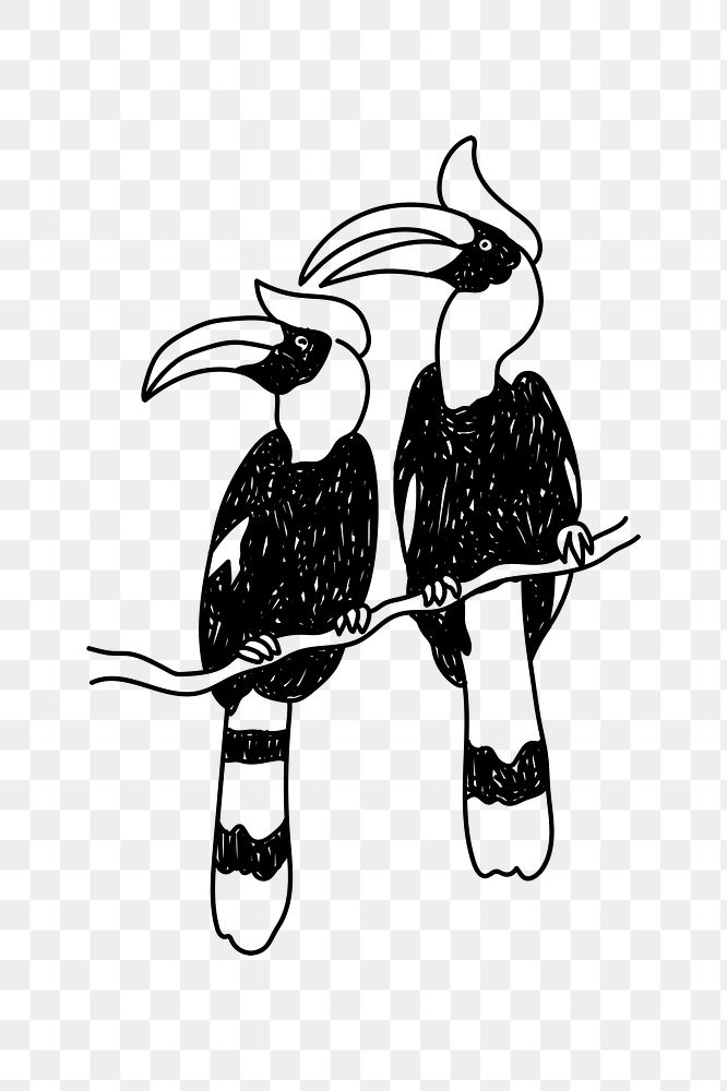 PNG Toucan bird wildlife doodle illustration, transparent background