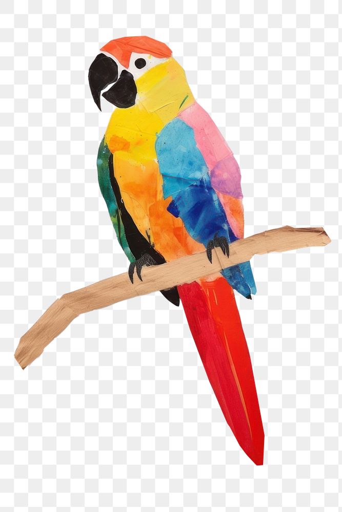 PNG Parrot art painting animal. 