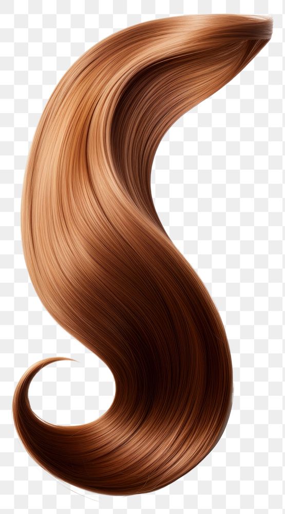 PNG Long healthy straight brown hair wood white background hairstyle. 