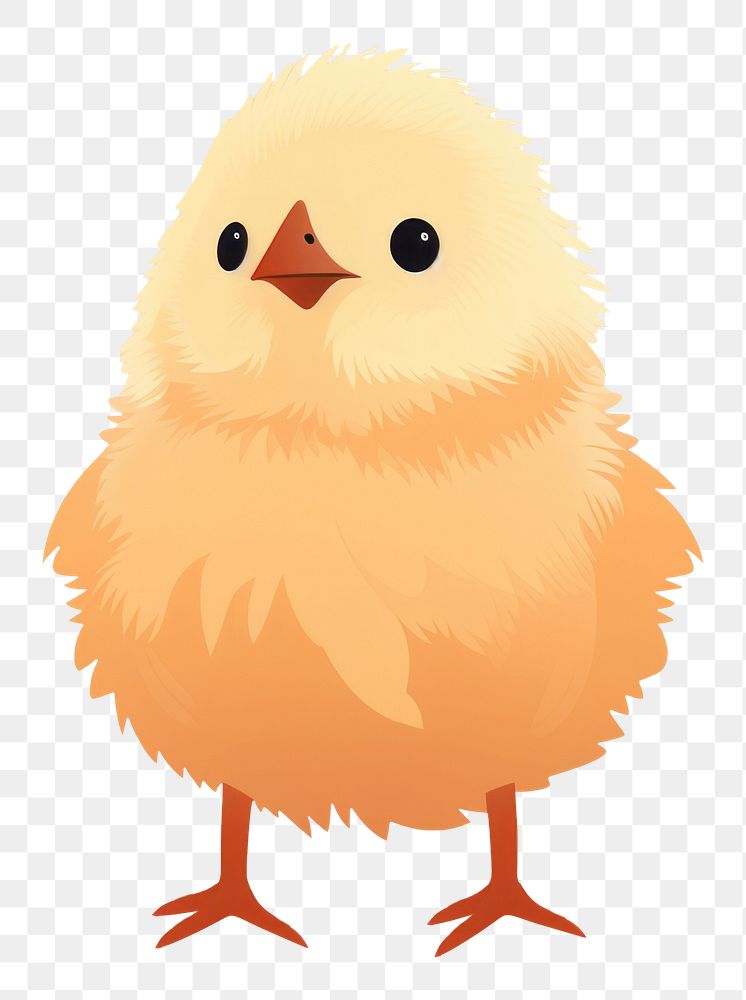 PNG Chick animal bird cartoon. 