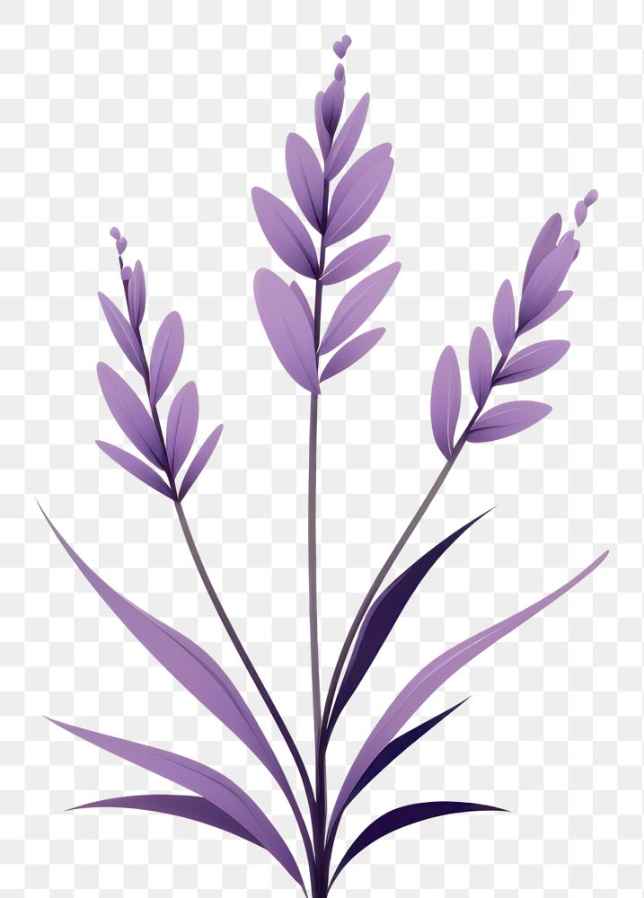 PNG  A lavender flower plant grass. AI generated Image by rawpixel.