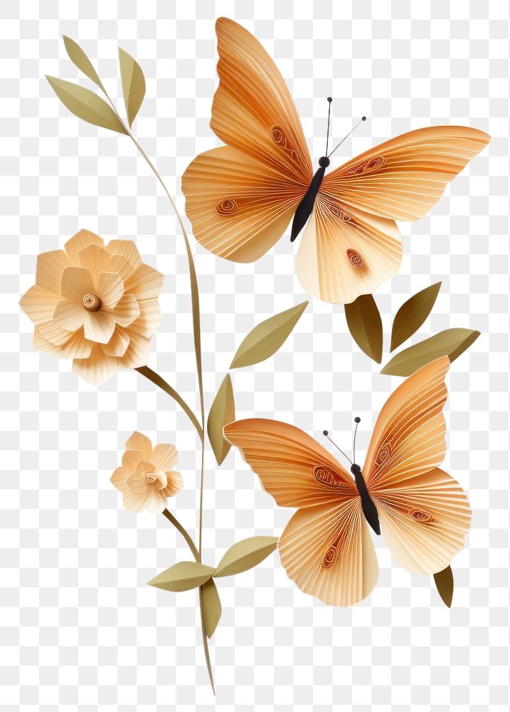 PNG Flower butterfly petal plant. AI generated Image by rawpixel.
