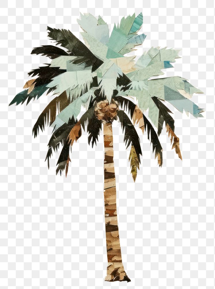 PNG Palm tree plant leaf creativity. AI generated Image by rawpixel.