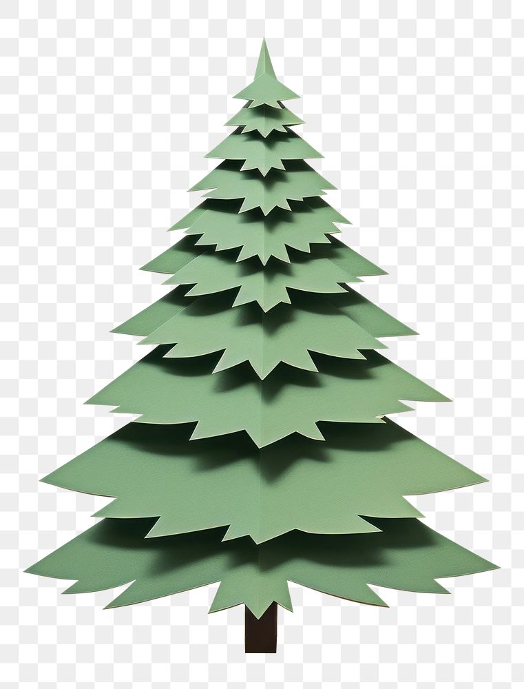 PNG Christmas tree plant pine architecture. AI generated Image by rawpixel.
