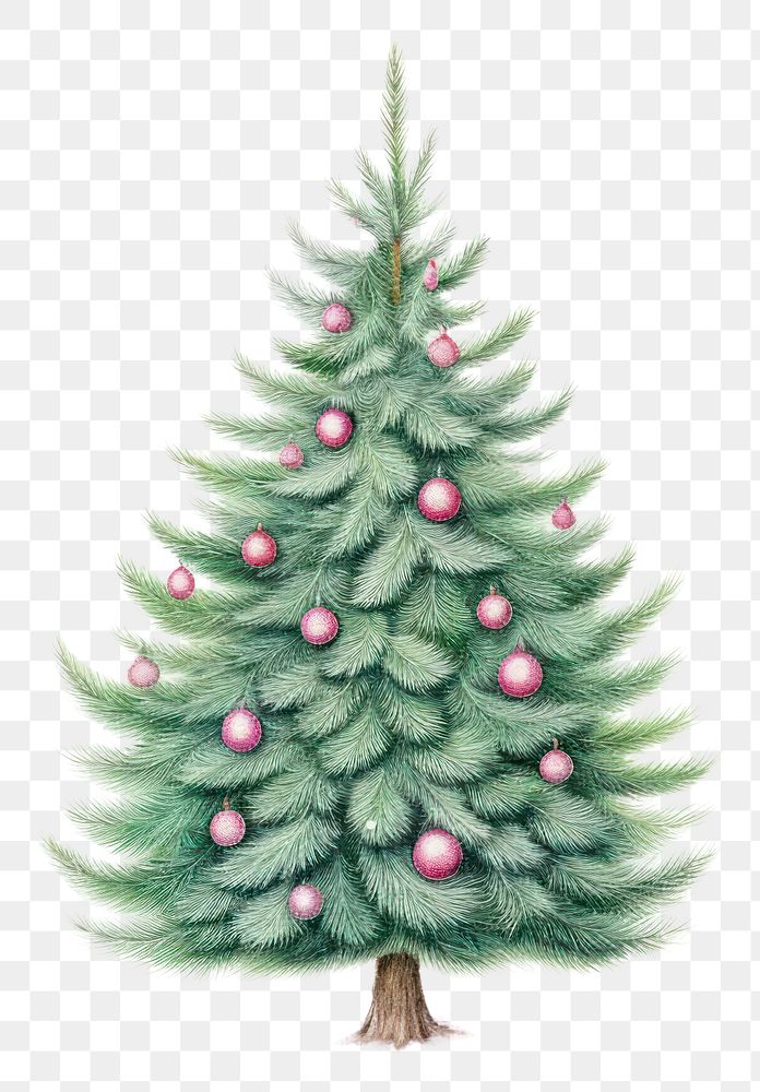 PNG Christmas tree pine decoration drawing. AI generated Image by rawpixel.